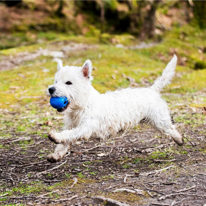 Chuckit! Dog Toy Crunch Ball Medium 2 Pk | Kanu Pet