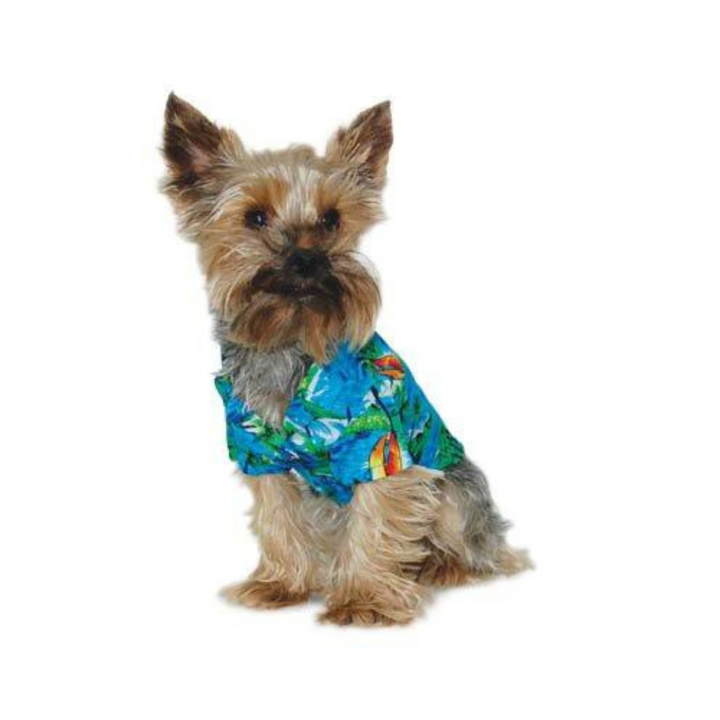 Dogo Pet Aloha Dog Shirt | Kanu Pet