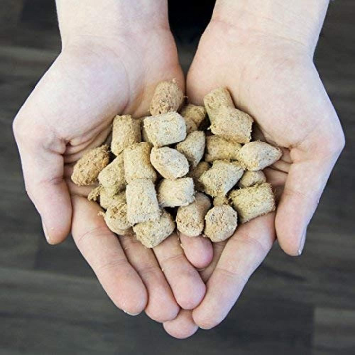 Stella & Chewy's Carnivore Crunch Freeze-Dried Dog Treats | Kanu Pet