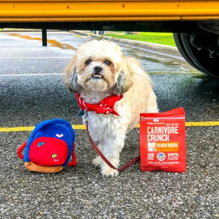 Stella & Chewy's Carnivore Crunch Freeze-Dried Dog Treats | Kanu Pet