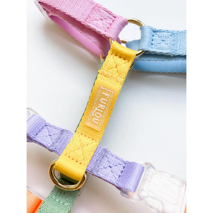 Furlou Rainbow Dog Harness | Kanu Pet