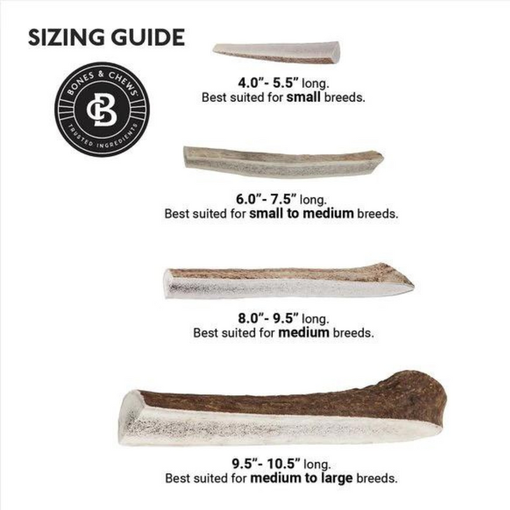 Primal Elk Split Antler Dog Chew | Kanu Pet