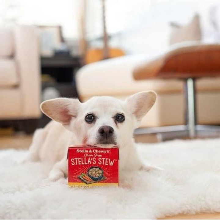 Stella & Chewy's Grain Free Cage-Free Recipe Stew Dog Food | Kanu Pet