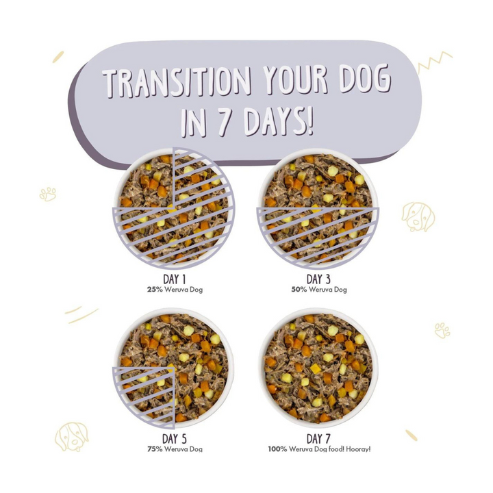 Weruva Classic Steak Frites with Beef Dog Food | Kanu Pet