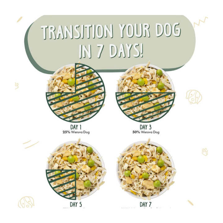 Weruva Classic Green Eggs & Chicken Dog Food | Kanu Pet
