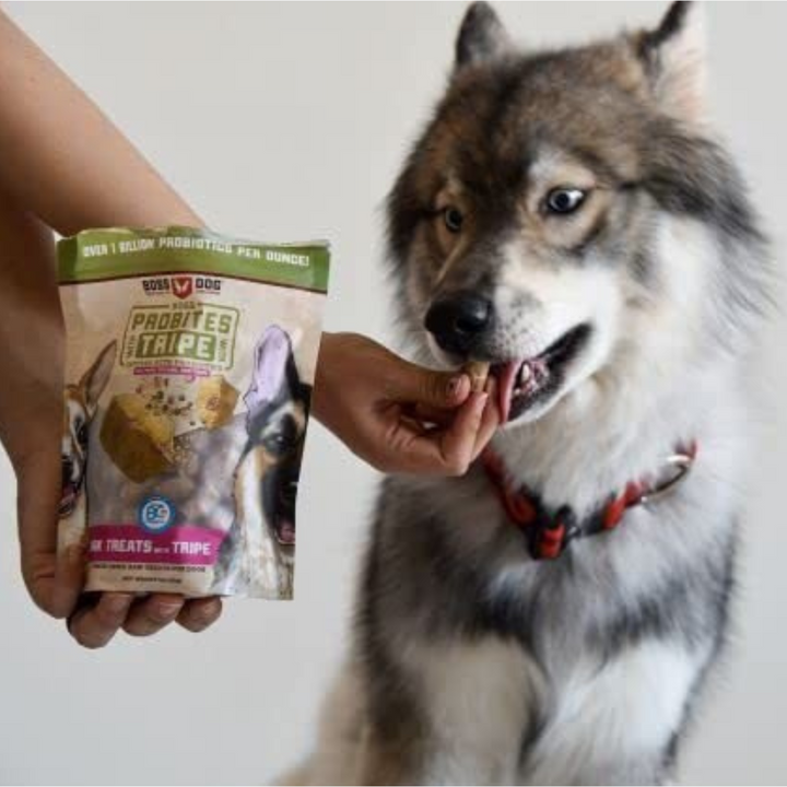 Boss Dog Probites Dried Raw Beef with Tripe Dog Treats | Kanu Pet