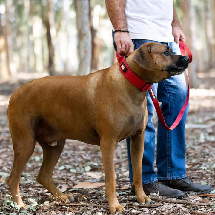 Boss Dog Tactical Collar Dog | Kanu Pet