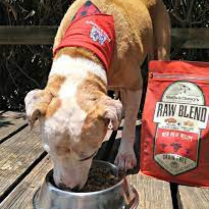 Stella & Chewy's Raw Blend Dry Dog Food | Kanu Pet