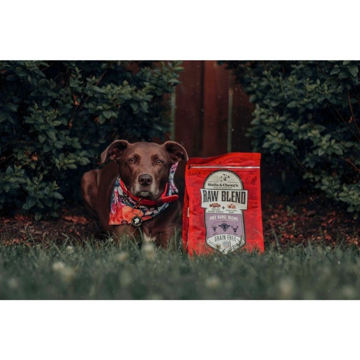 Stella & Chewy's Raw Blend Dry Dog Food | Kanu Pet