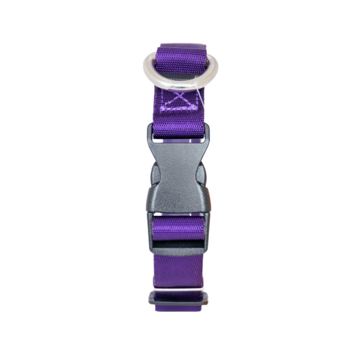 Kanu Pet Purple Dog Collar| Kanu Pet