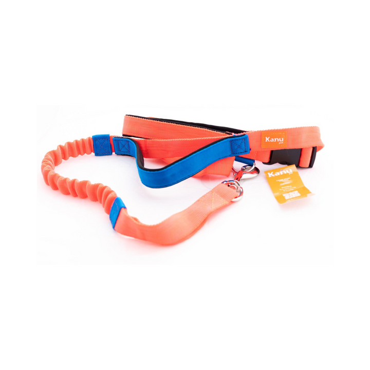 Kanu Pet Sport King Blue Dog Leash | Kanu Pet