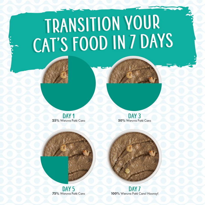 Weruva Classic Paté Meows n’ Holler PurrAmid Cat Food | Kanu Pet