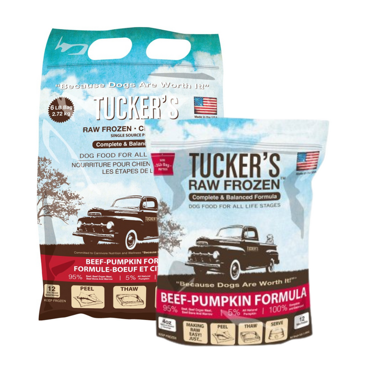 Tucker's® Basics Beef- Pumpkin Raw Frozen Dog Food | Kanu Pet