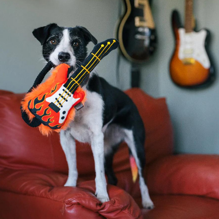 PetPlay 90s Classics Collection Plush Dog Toy | Kanu Pet