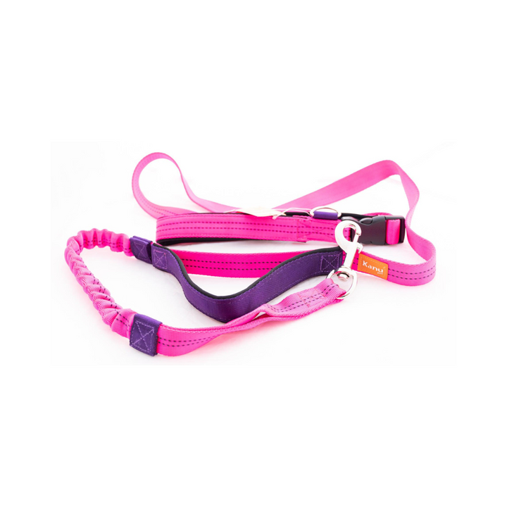 Kanu Pet Sport Fuchsia Dogs Leash | Kanu Pet