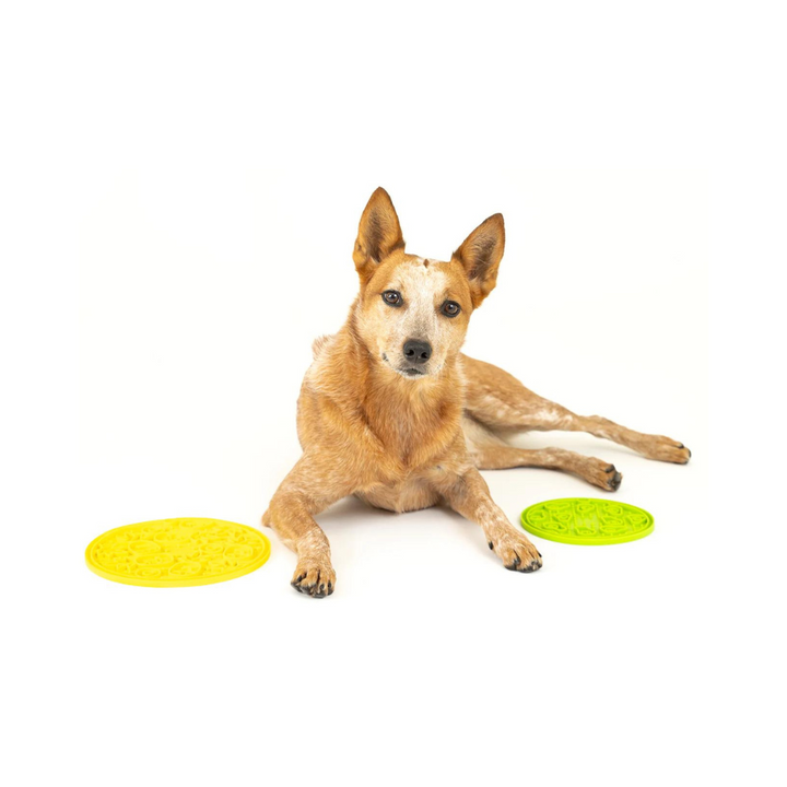 Pet Play ZoomieRex  Lick Mat | Kanu Pet