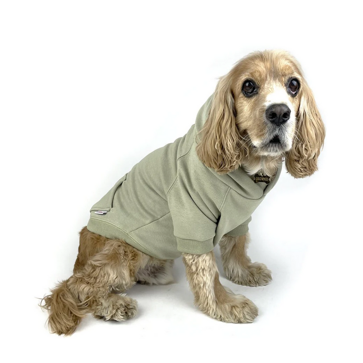 Milltown Dog Pullover Dog Hoodie | Kanu Pet