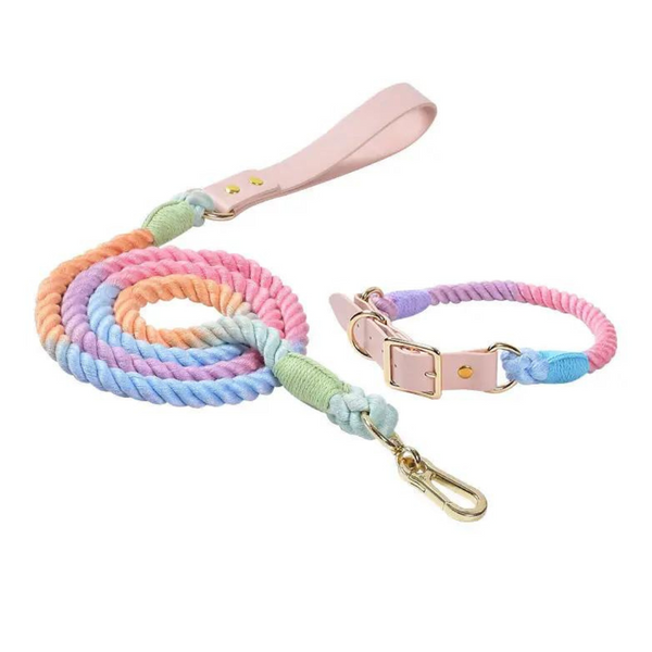 Cheerhunting Dog Colorful Dog Collar & Leash | Kanu Pet