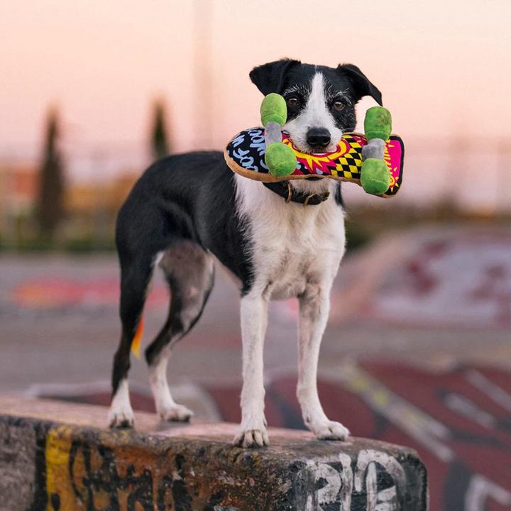PetPlay 90s Classics Collection Plush Dog Toy | Kanu Pet