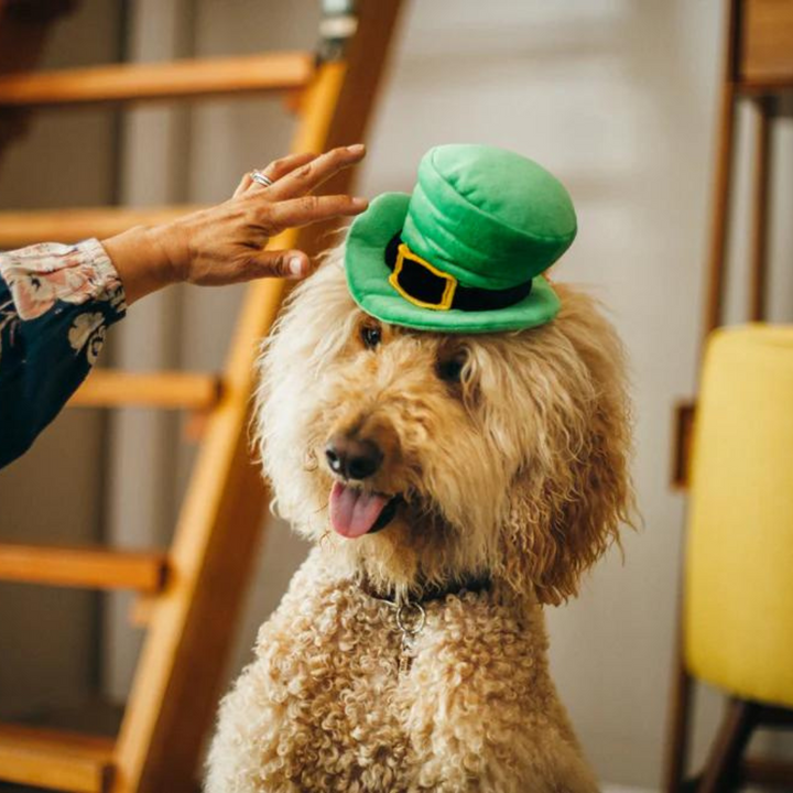 PetPlay  Mutt Hatter Collection Plush Dog Toy | Kanu Pet