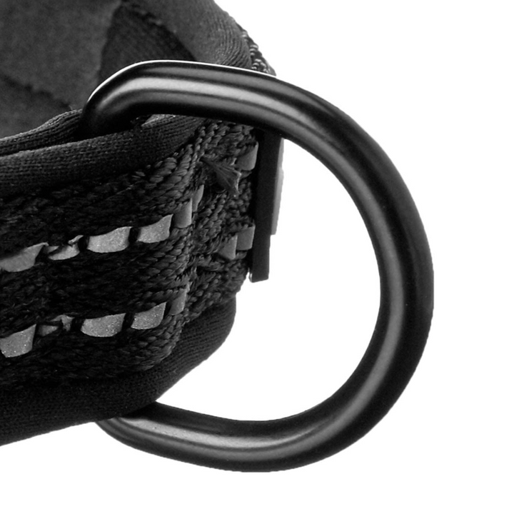 Alcott Explorer Dog Collar | Kanu Pet