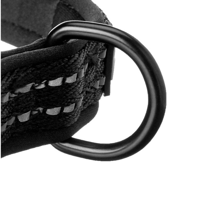 Alcott Black Martingale Dog Collar | Kanu Pet