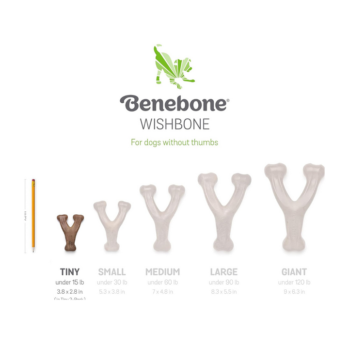Benebone Wishbone Bacon Flavor Chew Puppy Toy | Kanu Pet