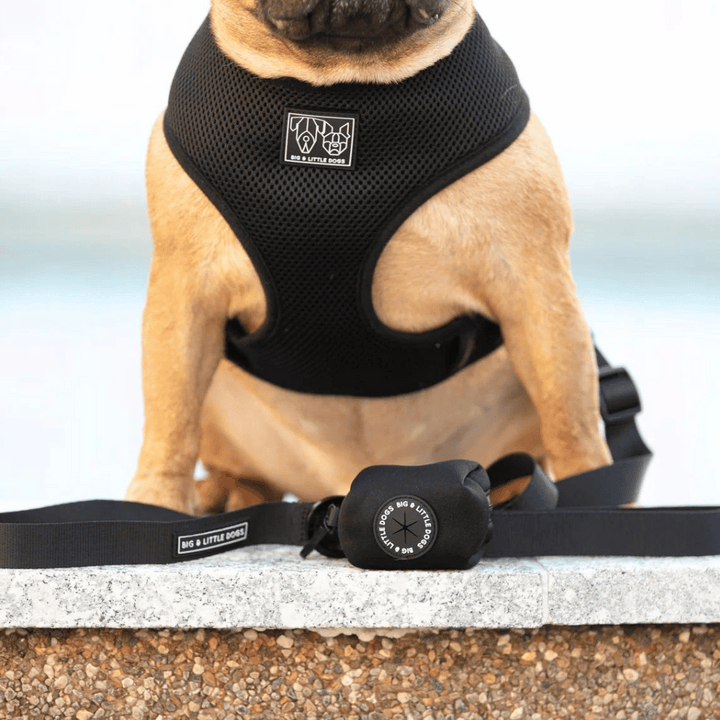 Big and Little Dogs Black Dog Poop Bag Holder | Kanu Pet