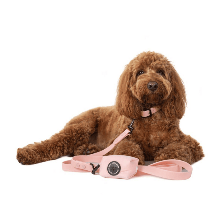 Big and Little Dogs  Blush Pink  Dog Poop Bag Holder | Kanu Pet