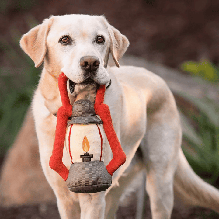 Pet Play Camp Corbin Pack Leader Lantern Plush Dog Toy | Kanu Pets