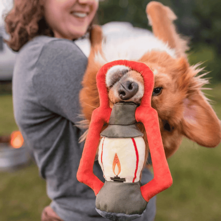 Pet Play Camp Corbin Pack Leader Lantern Plush Dog Toy | Kanu Pets