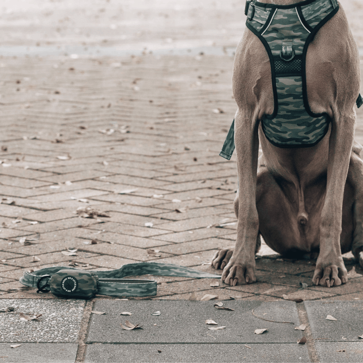Big & Little Dogs Camouflaged Dog Poop Bag Holder | Kanu Pet