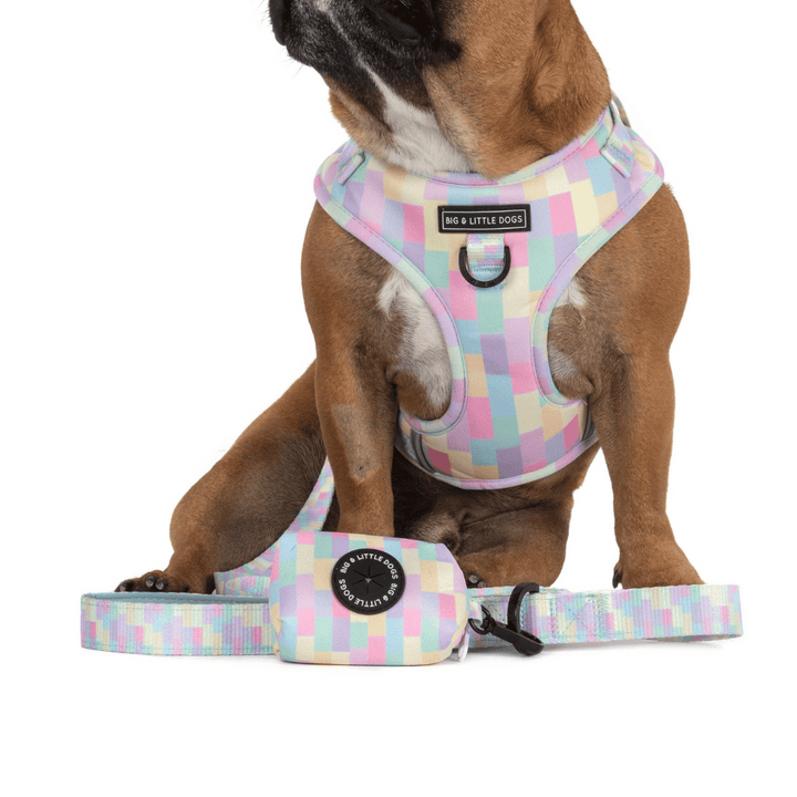 Big & Little Dogs Gelato Dog Poop Bag Holder | Kanu Pet