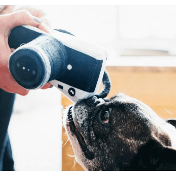 Pet Play Globetrotter Collection Camera Plush Dog Toy | Kanu Pet