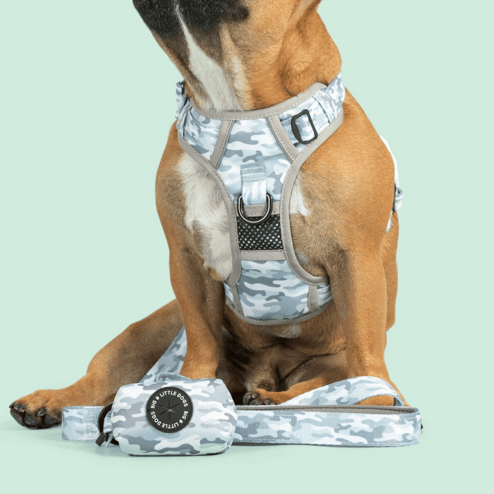 Big & Little Dogs Grey Camo Dog Poop Bag Holder | Kanu Pet