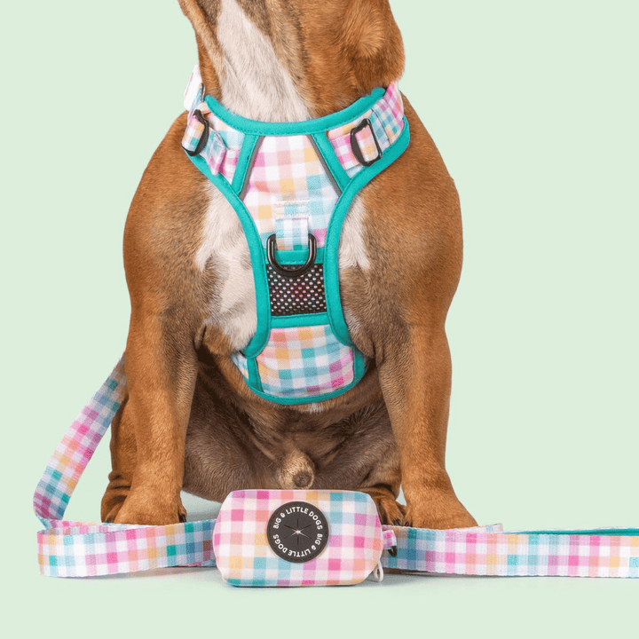 Big & Little Dogs Rainbow Gingham Dog Poop Bag Holder | Kanu Pet