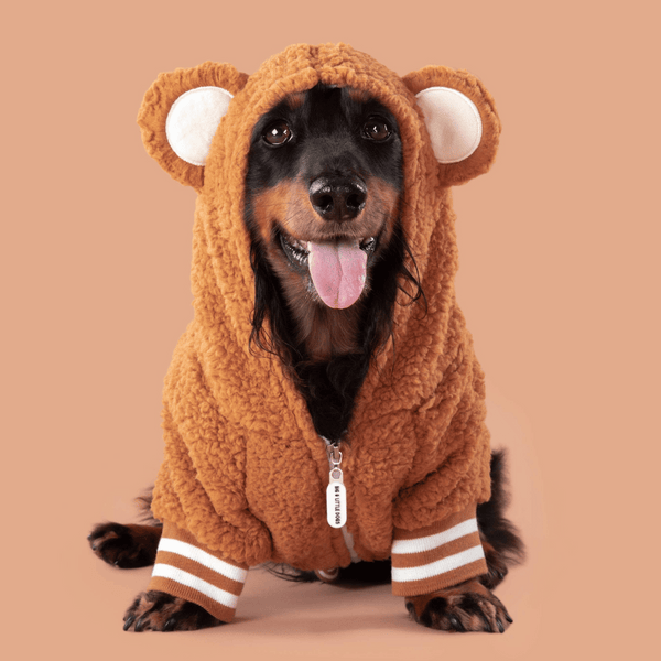 Big & Little Dogs Caramel Teddy Hoddie Dog Jumper | Kanu Pet