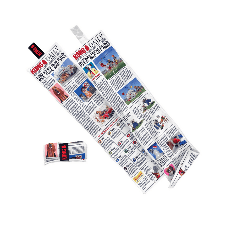 Kong Daily Newspapper Dog Toy | Kanu Pet