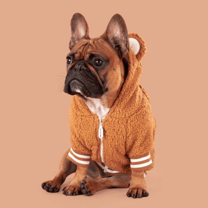 Big & Little Dogs Caramel Teddy Hoddie Dog Jumper | Kanu Pet
