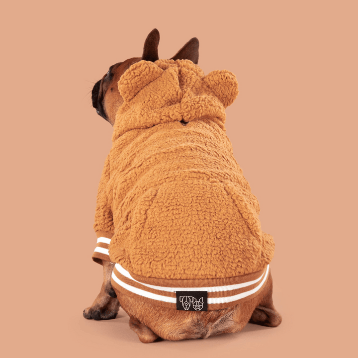 Big & Little Dogs Caramel Teddy Hoddie Dog Jumper | Kanu Pet