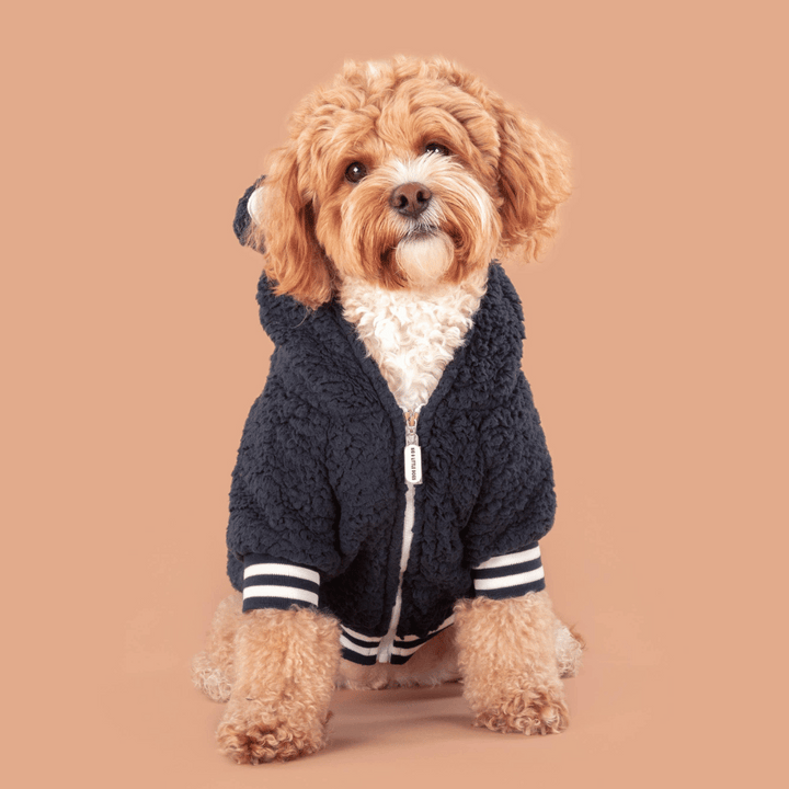 Big & Little Dogs Navy Teddy Hoddie Dog Jumper | Kanu Pet