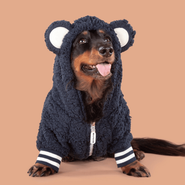 Big & Little Dogs Navy Teddy Hoddie Dog Jumper | Kanu Pet