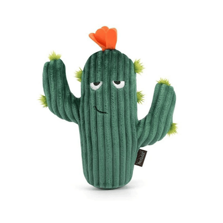 Pet Play Blooming Buddies Prickly Pup Cactus Dog Toy | Kanu Pet