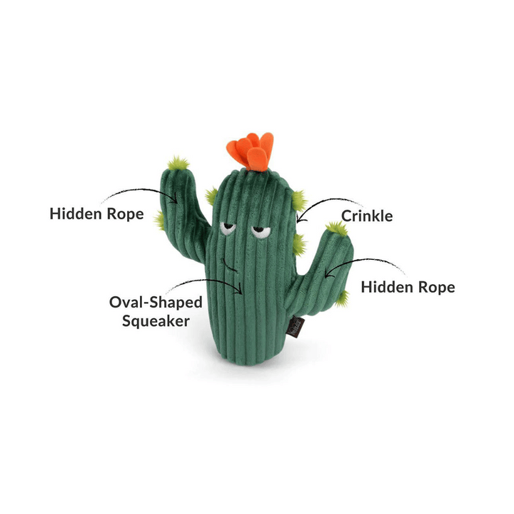 Pet Play Blooming Buddies Prickly Pup Cactus Dog Toy | Kanu Pet