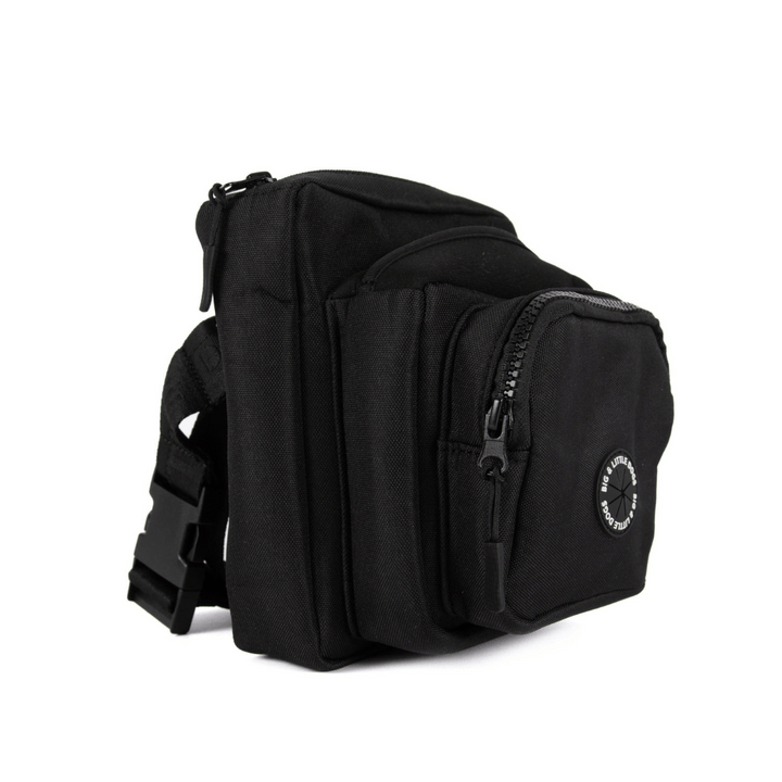Big and Little Dogs Black The Ultimate Training Pouch | Kanu Pet