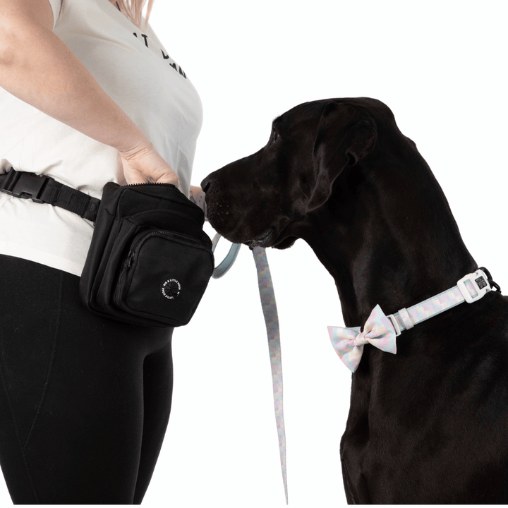 Big and Little Dogs Black The Ultimate Training Pouch | Kanu Pet