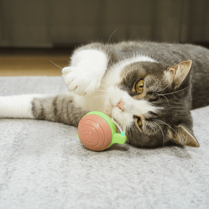 Curatepet Wicked Snail-Brown/Green Interactive Cat Toy | Kanu Pet