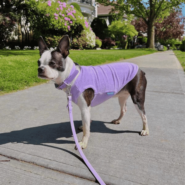 Little Beast  ADEDAS Sleeveless Purple Dog Shirt | Kanu Pet