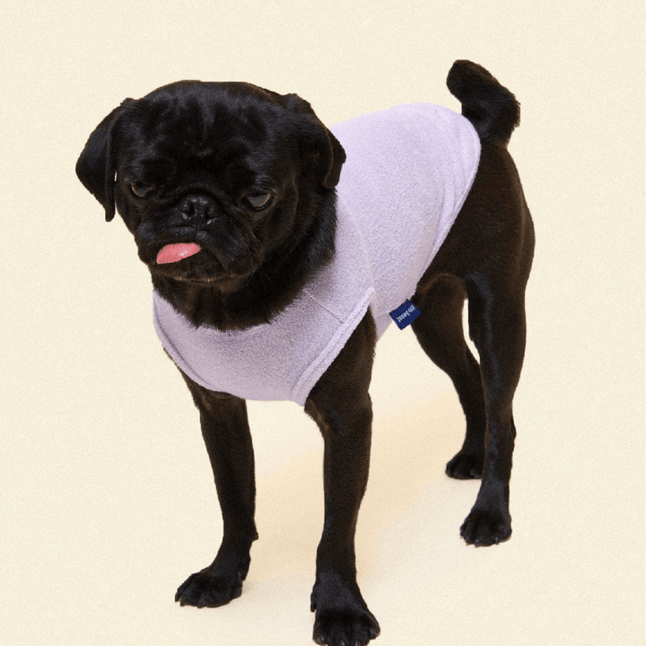 Little Beast  ADEDAS Sleeveless Purple Dog Shirt | Kanu Pet