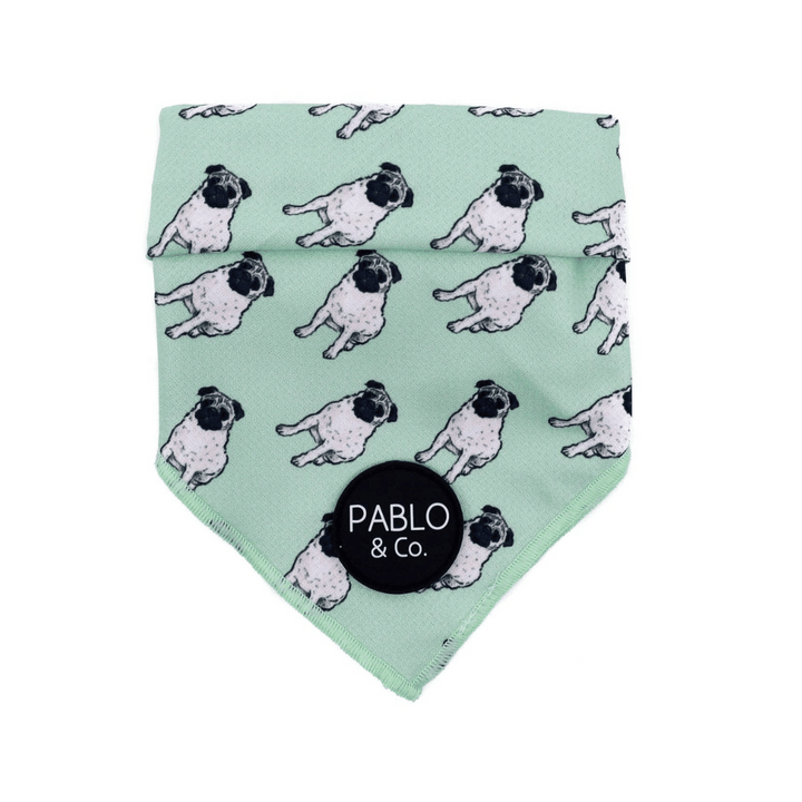 Pablo & Co. Pug Dog Bandana | Kanu Pet